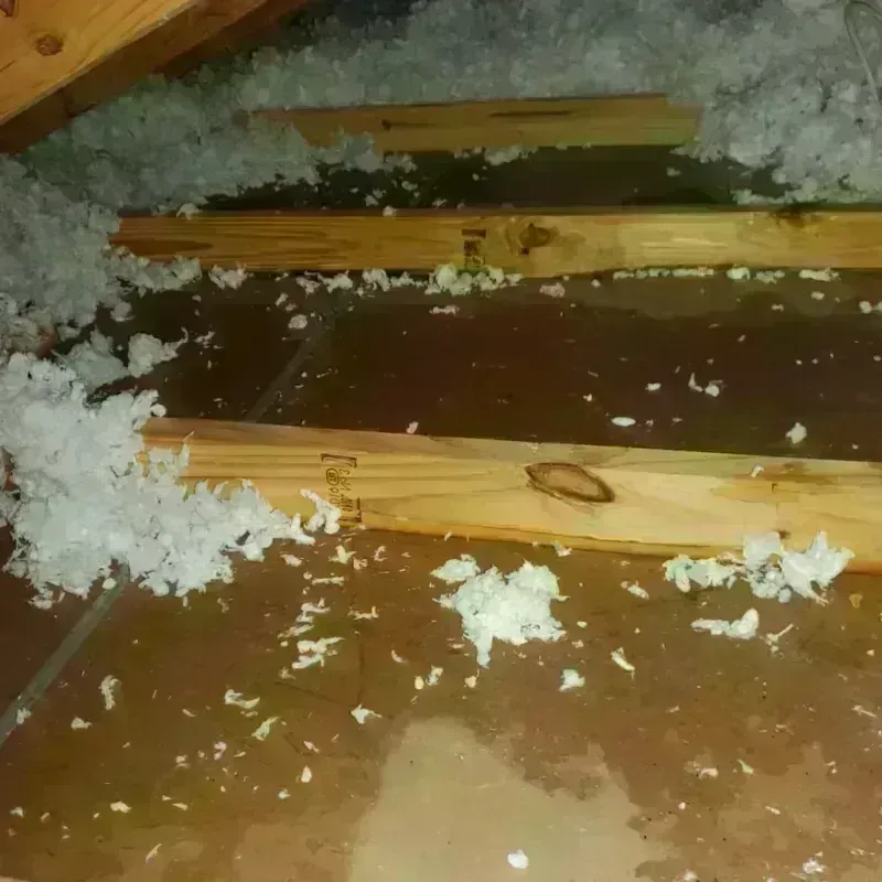 Attic Water Damage in Talladega, AL