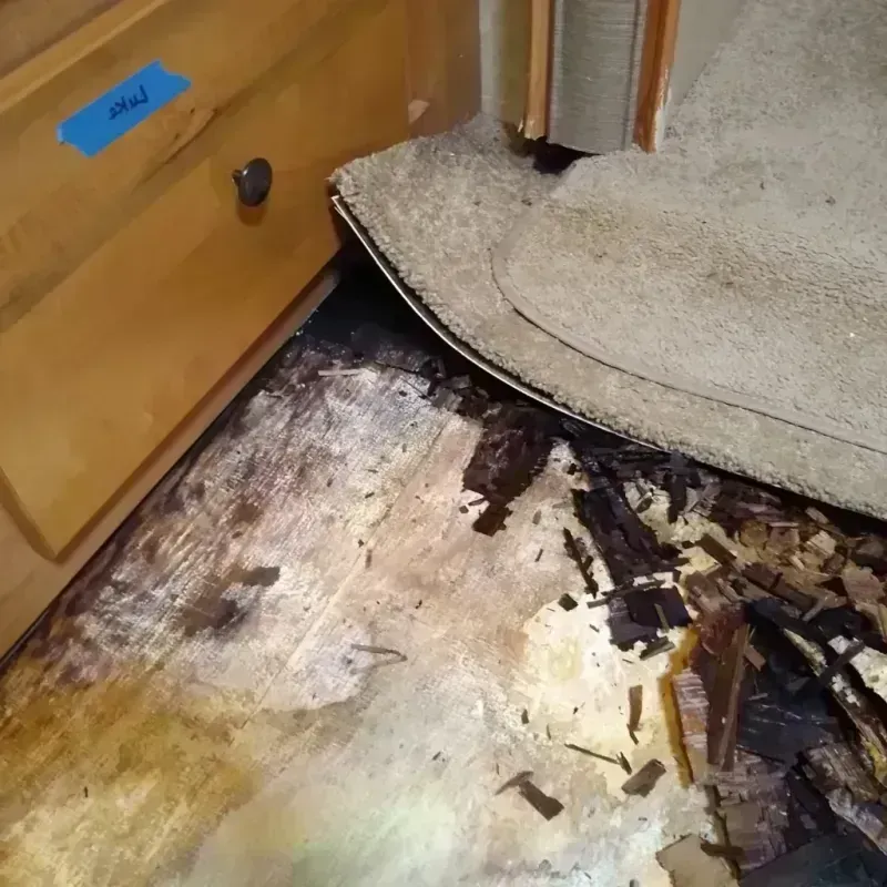 Best Wood Floor Water Damage Service in Talladega, AL